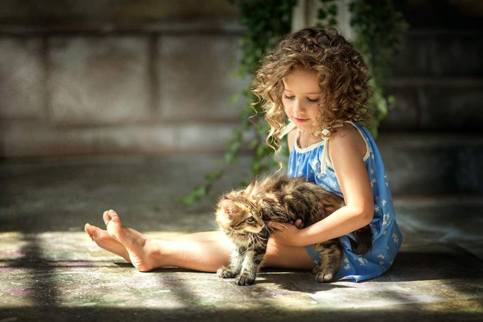 Gatti-per-bambini Gatti per bambini