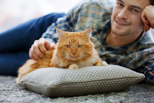 assicurazione animali domestici