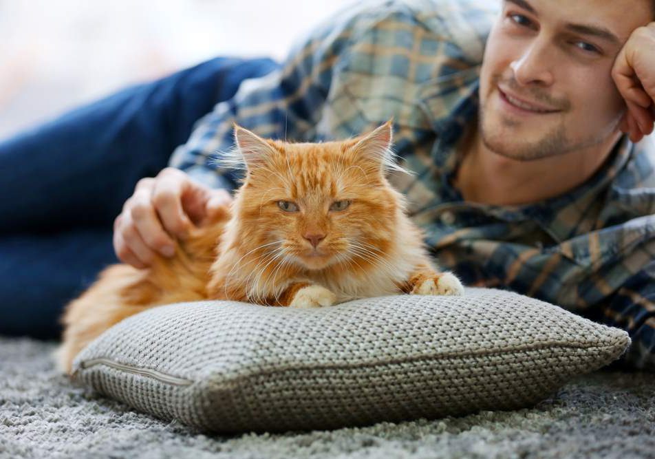 assicurazione animali domestici