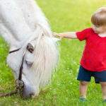 Pet Therapy cavallo bimbo