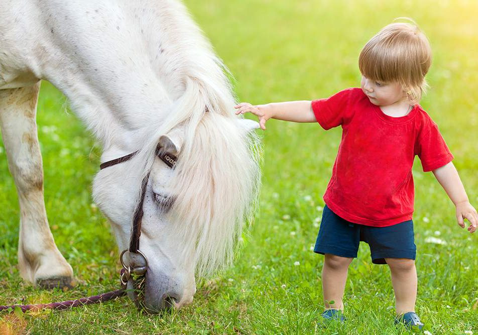 Pet-therapy-bambino-cavallo Pet Therapy cavallo bimbo