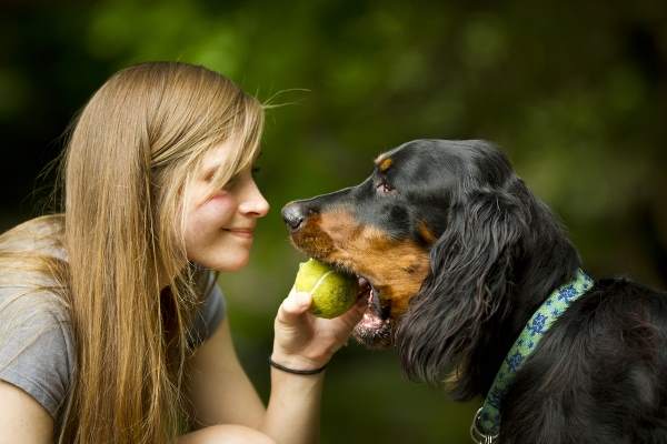 vaccini cani obbligatori