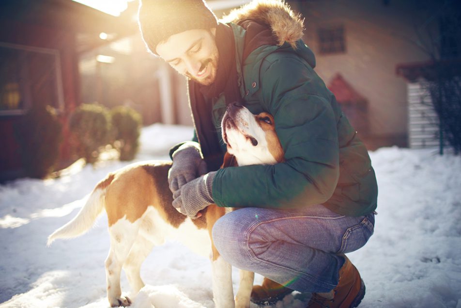 cane-inverno
