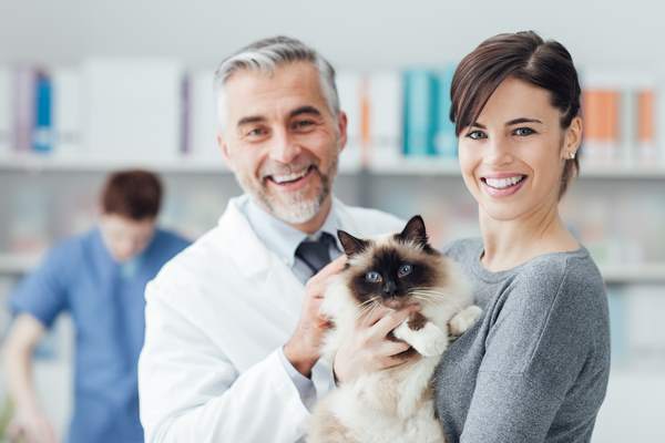 Prevenire alopecia gatto