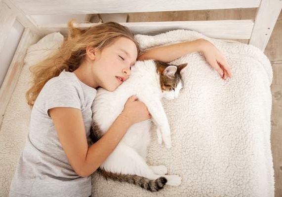 bambina dorme con gatto