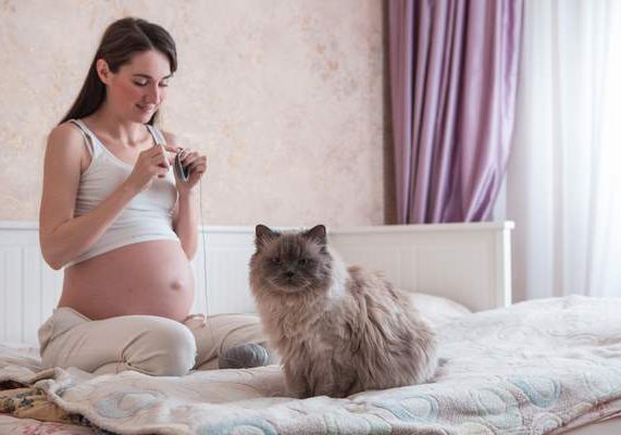 Toxoplasmosi in gravidanza