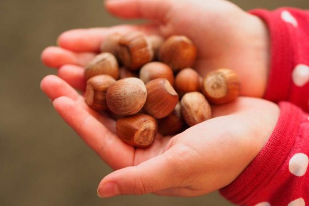 frutta secca bambini