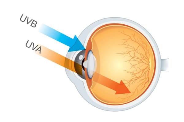 danni occhi raggi uva uvb