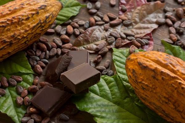 cacao