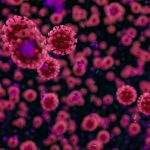 Coronavirus immunità di gregge