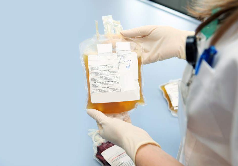 terapia-plasma-coronavirus terapia plasma coronavirus