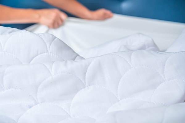 Acaro della polvere letto