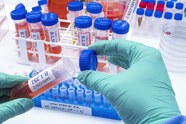 variante inglese coronavirus