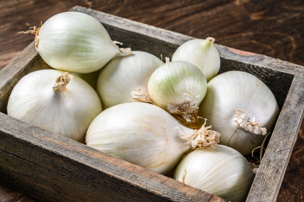 Utilizzo della cipolla in cucina