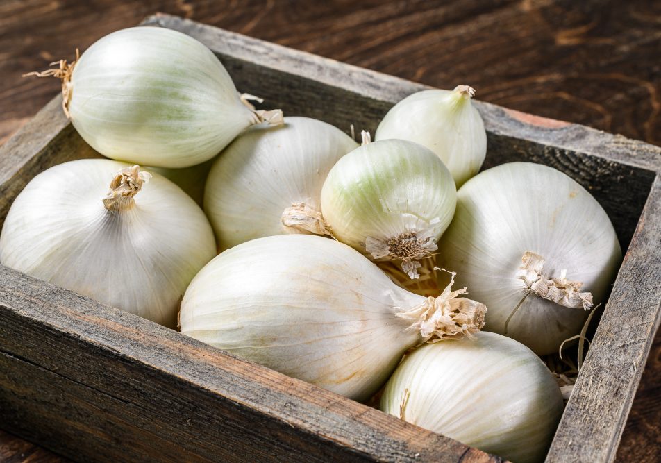 Utilizzo della cipolla in cucina