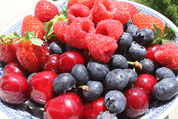 fragole ciliegie mirtilli