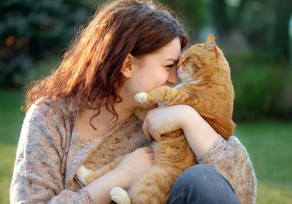stomatite gatto