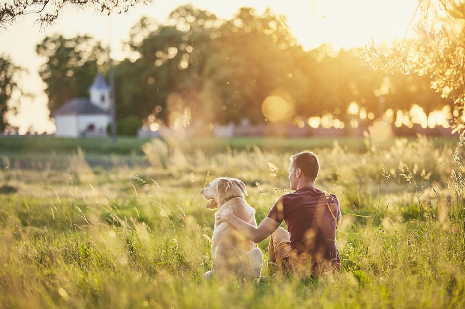 Viaggiare con gli animali domestici richiede maggiore organizzazione, ma apporta benefici inestimabili per il benessere di tutti.