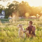 Viaggiare con gli animali domestici richiede maggiore organizzazione, ma apporta benefici inestimabili per il benessere di tutti.