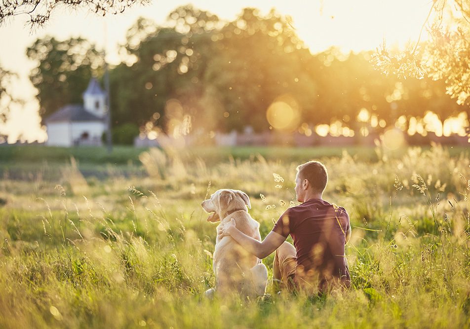 guida-vacanze-amici-a-quattro-zampe Viaggiare con gli animali domestici richiede maggiore organizzazione, ma apporta benefici inestimabili per il benessere di tutti.