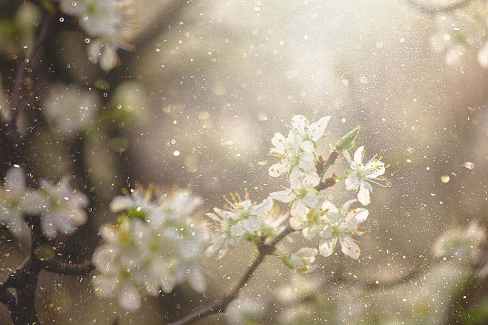 I cambiamenti stagionali tipici di settembre, l’aumento degli allergeni e il rientro a scuola o al lavoro possono innescare sintomi dell’asma come tosse, respiro sibilante e difficoltà respiratorie.