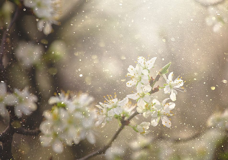 I cambiamenti stagionali tipici di settembre, l’aumento degli allergeni e il rientro a scuola o al lavoro possono innescare sintomi dell’asma come tosse, respiro sibilante e difficoltà respiratorie.