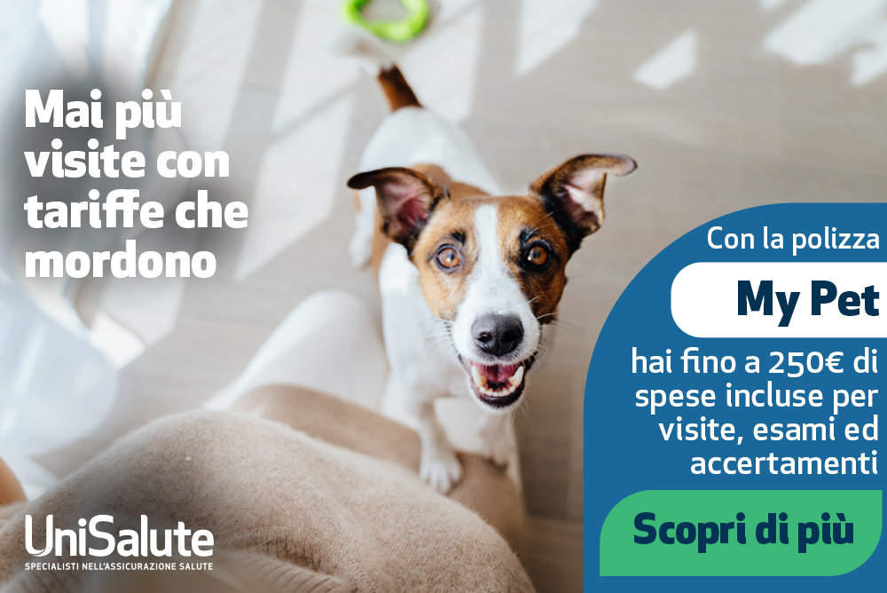 Mai più visite con tariffe che mordono