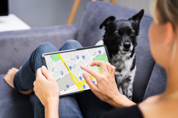 Grazie al GPS integrato, è possibile localizzare in tempo reale il proprio animale domestico.
