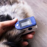 Smartwatch e collari GPS stanno rivoluzionando la cura dei nostri animali domestici.