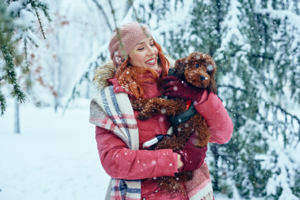 Assicurare i propri animali domestici offre una copertura finanziaria per le spese veterinarie impreviste, che possono essere elevate durante il periodo natalizio. 