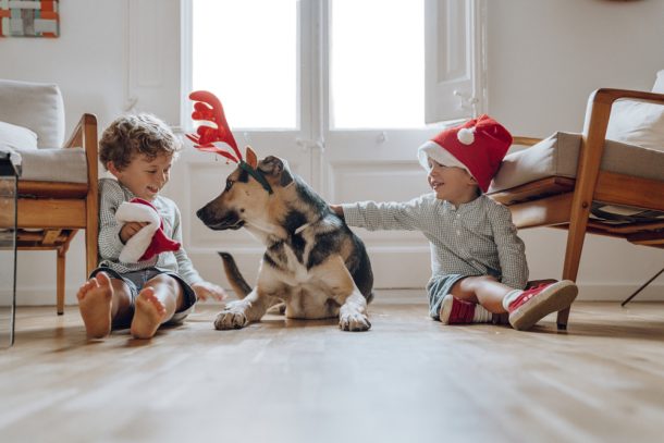 Il Natale è un periodo magico, ma può nascondere insidie per la salute di cani e gatti.
