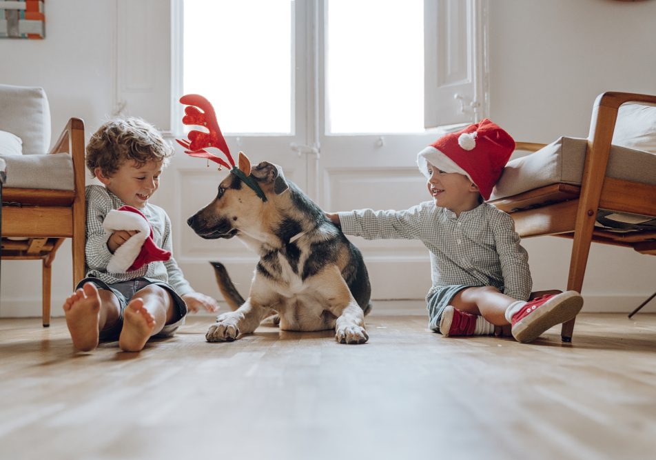 Il Natale è un periodo magico, ma può nascondere insidie per la salute di cani e gatti.