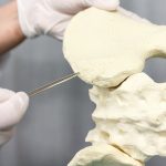 Il midollo osseo è responsabile della produzione delle cellule del sangue (globuli rossi, globuli bianchi e piastrine). Per i pazienti affetti da gravi malattie del sangue il trapianto di midollo osseo può rappresentare l’unica speranza di guarigione.