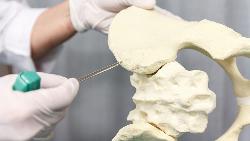 Il midollo osseo è responsabile della produzione delle cellule del sangue (globuli rossi, globuli bianchi e piastrine). Per i pazienti affetti da gravi malattie del sangue il trapianto di midollo osseo può rappresentare l’unica speranza di guarigione.