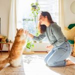 La storia d’amore tra il genere umano e il gatto risale a millenni fa, influenzando culture e tradizioni. Dagli antichi Egizi, che li veneravano come divinità, ai giorni nostri, i gatti domestici occupano un posto speciale nelle nostre case e nei nostri cuori.