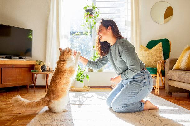 La storia d’amore tra il genere umano e il gatto risale a millenni fa, influenzando culture e tradizioni. Dagli antichi Egizi, che li veneravano come divinità, ai giorni nostri, i gatti domestici occupano un posto speciale nelle nostre case e nei nostri cuori.