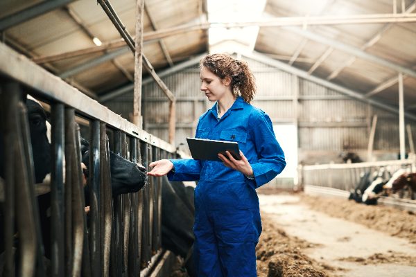Un allevamento estensivo e biologico pone nuove sfide per la salute animale.
