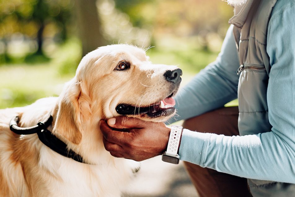 Cane con dermatite fa una passeggiata al parco insieme al padrone