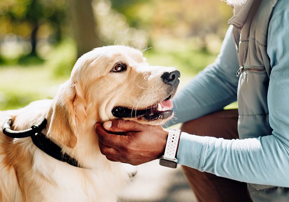 Cane con dermatite fa una passeggiata insieme al padrone e lo guarda sorridente
