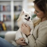 Cane di razza piccola in braccio alla sua padrona