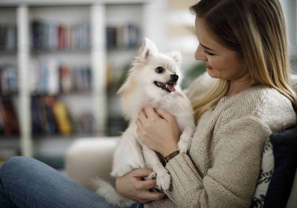 giovane-donna-con-cane-razza-piccola Cane di razza piccola in braccio alla sua padrona