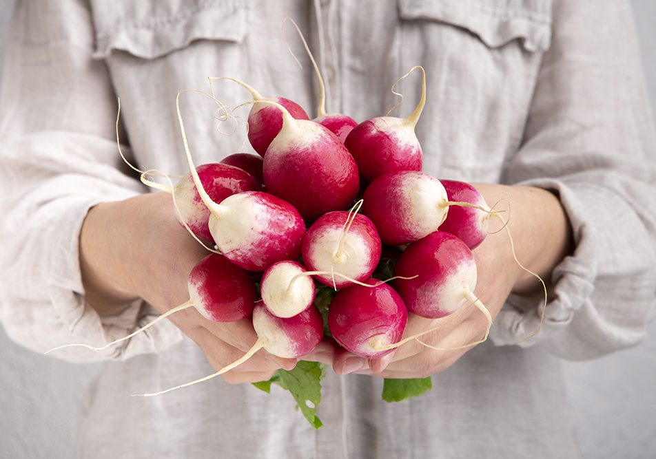 Il ravanello è un concentrato di proprietà nutrizionali e benefici per la salute: dalle radici alle foglie, esso offre vitamine, minerali e antiossidanti, preziosi alleati del benessere.