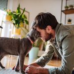 Giovane uomo con rischio di contrarre la falsa scabbia dal suo gatto domestico