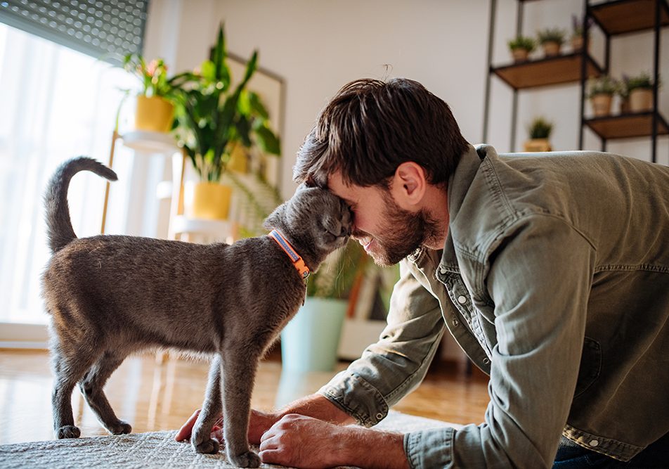falsa-scabbia-uomo-e-animali-domestici Giovane uomo con rischio di contrarre la falsa scabbia dal suo gatto domestico