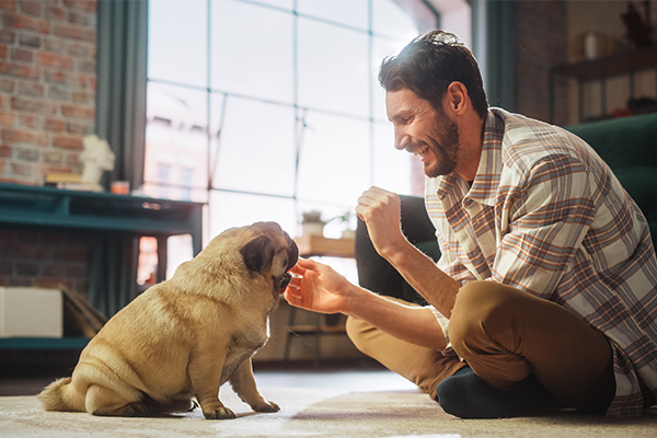 Padrone che si prende cura del suo cane contro il lipoma, prestando attenzione sua salute