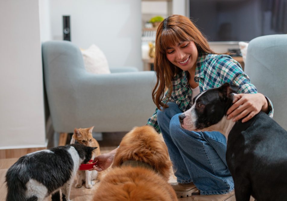 Donna con gatti e cani affetti da dermatite provocata dalla Malassezia