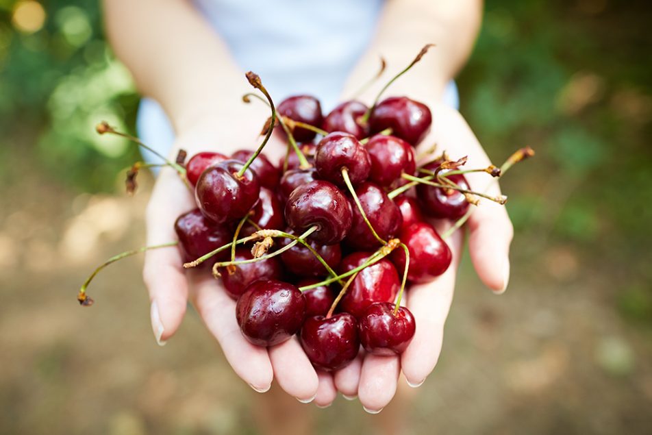 Donna che tiene tra le mani una manciata di ciliegie fresche e dalle mille proprietà