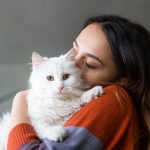 Padrona che coccola affettuosamente il suo gatto dal pelo lungo e bianco nel salotto di casa