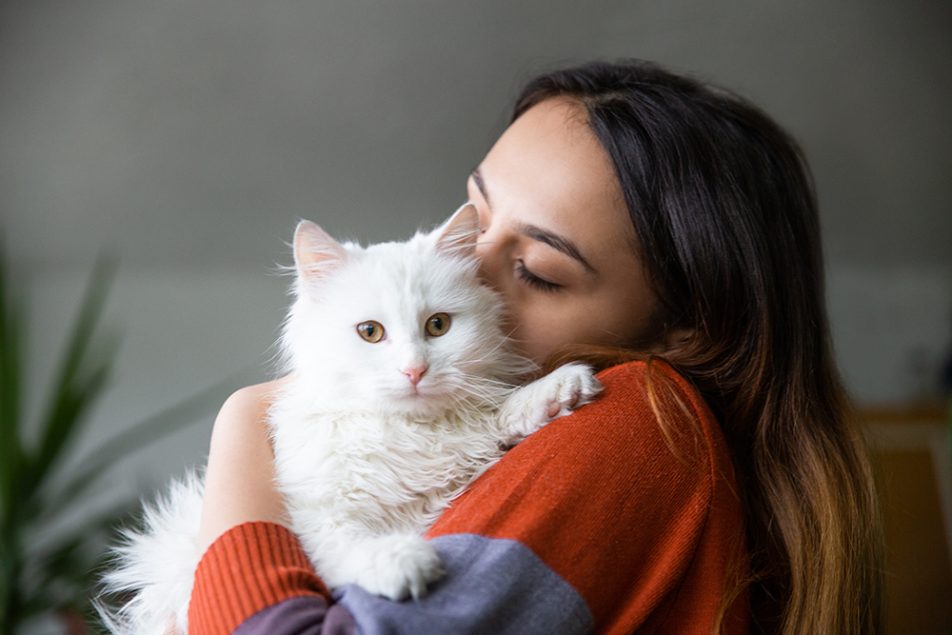 Padrona che coccola affettuosamente il suo gatto dal pelo lungo e bianco nel salotto di casa