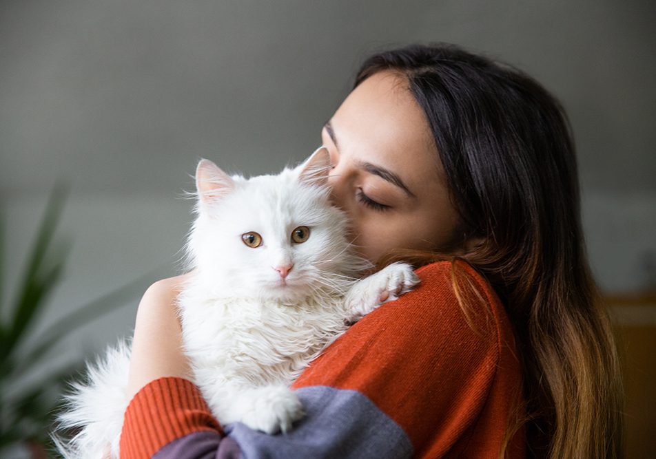 Padrona che coccola affettuosamente il suo gatto dal pelo lungo e bianco nel salotto di casa